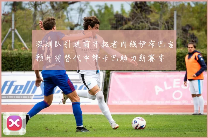 深圳队引进前开拓者内线伊布巴吉预计将替代中锋卡巴助力新赛季